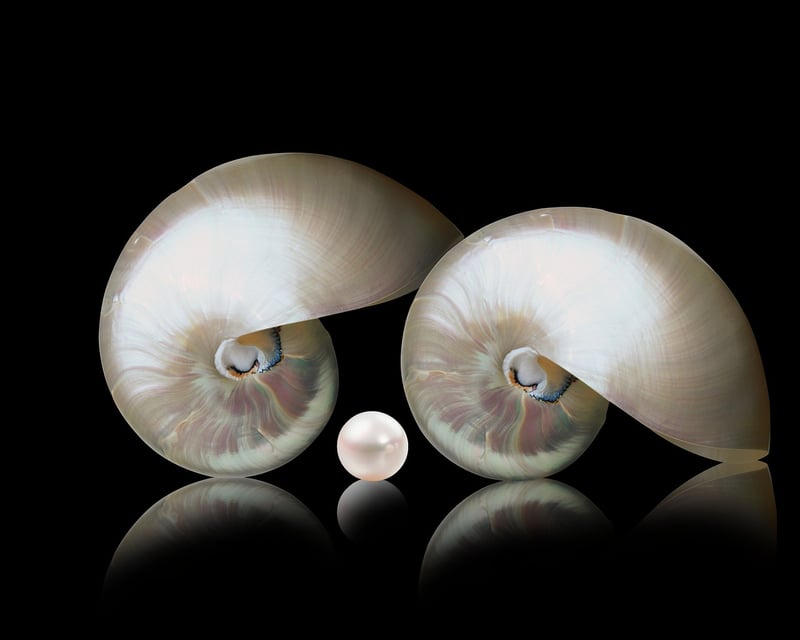 Pearls of Insight